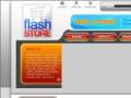 the flash store