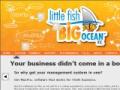 little fish bigocean