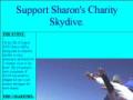 charity skydive
